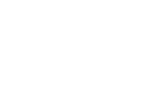 Magnet